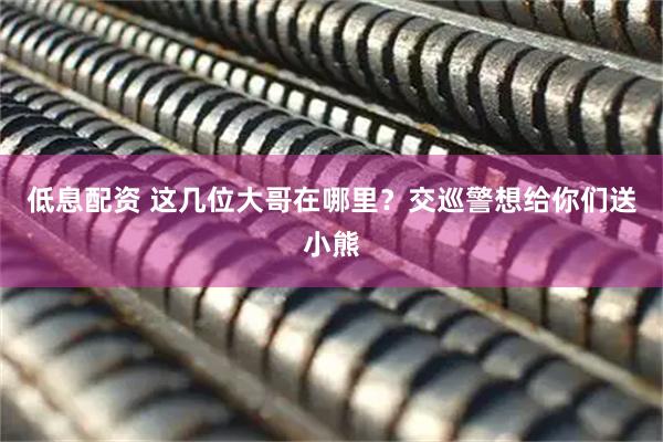 低息配资 这几位大哥在哪里？交巡警想给你们送小熊